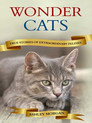 cover image of Wonder Cats